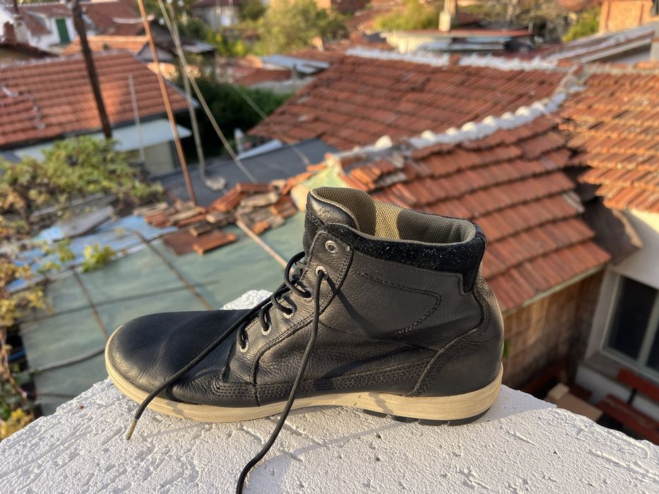 Camel Active 45.5