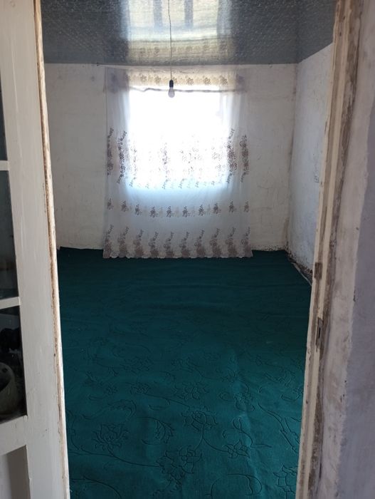 Дача Сатылады. Жузим баг