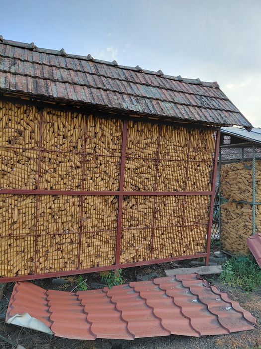 Vand porumb  în Sărmaș