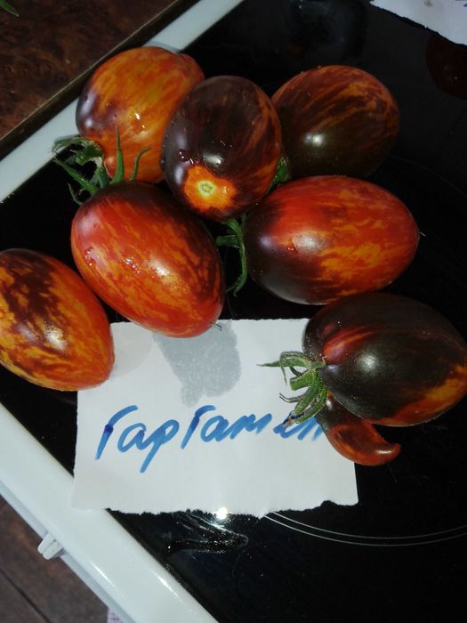 Семена за домати и други зеленчуци