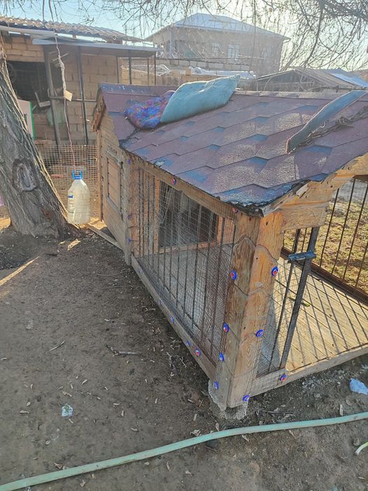 Вип волер для больших собак