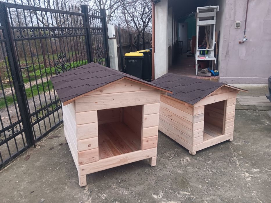 Cusca catel pisici la comanda