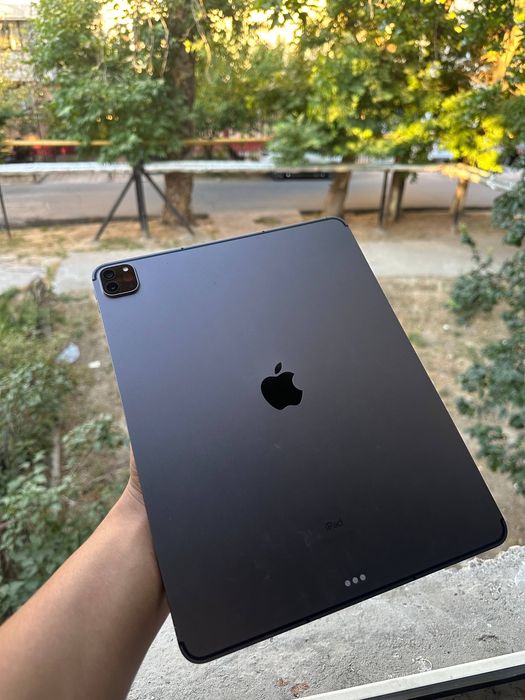 Ipad pro 5 pakaleniya