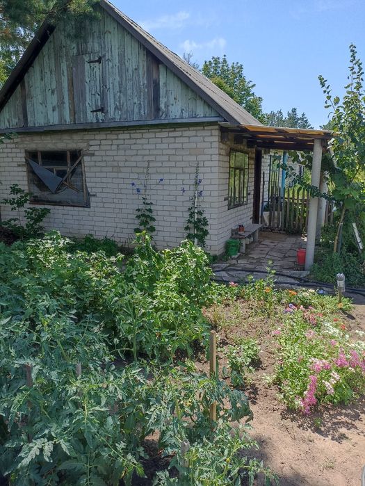 Продам дачу сад авиатор