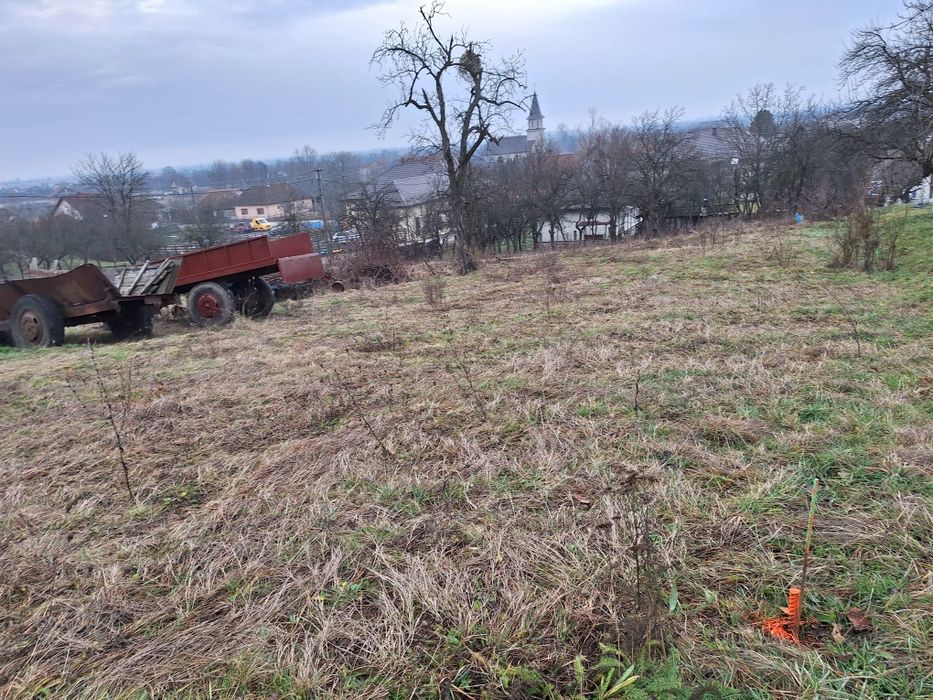 Vând Teren Intravilan 775 mp – Cicârlău, Central (Lângă Primărie)