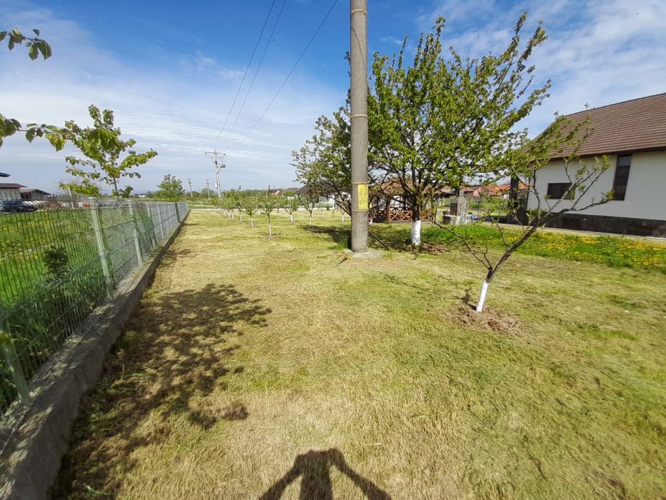 Curatare si defrisari terenuri, amenanjare livezi, garduri etc