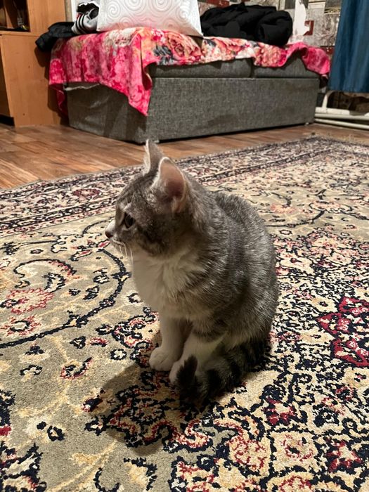 Каму  надо забирайте