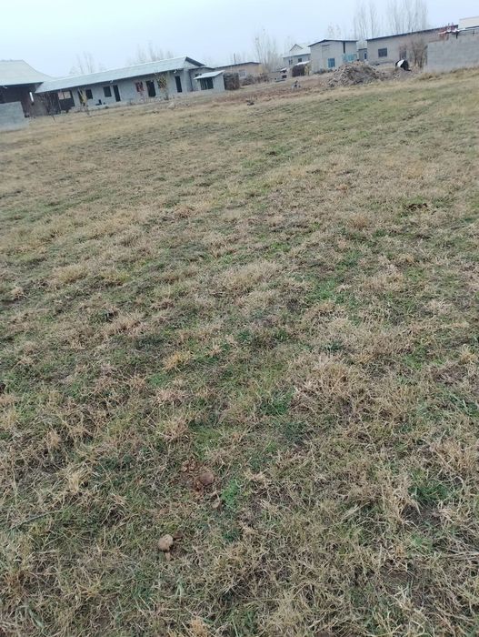 Yer sotiladi sariosiyo tumani shoxijahon mahalasi Xasanaobod qishlogi