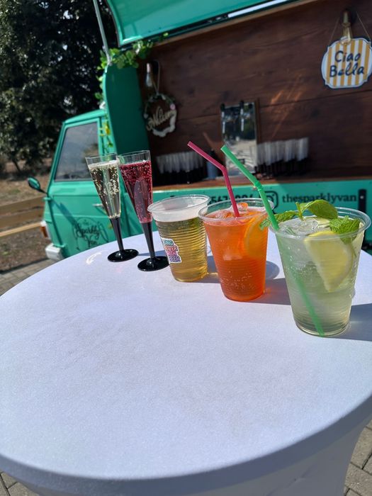Prosecco Van/Frizzante/Bar Mobil