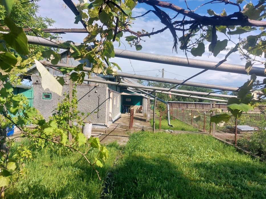 Casa de vânzare cu 2400 mp și pădure de salcâm 3200mp