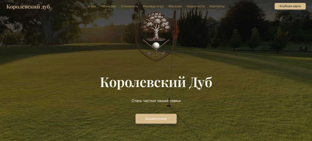 Веб-дизайнер с опытом работы на платформе Tilda