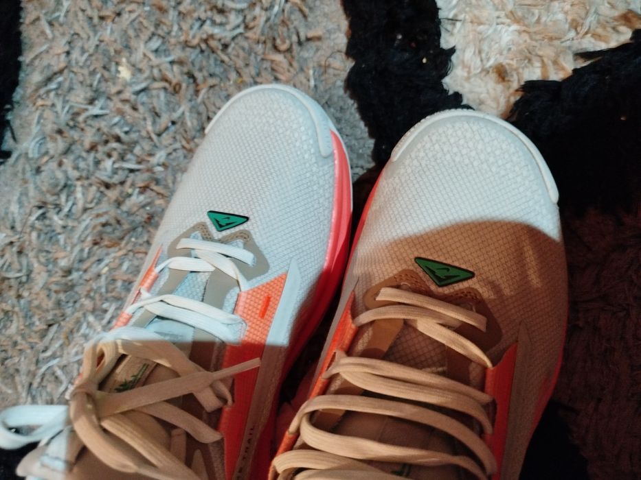 Vand NIKE Incaltaminte Pegasus Trail 5 Gtx