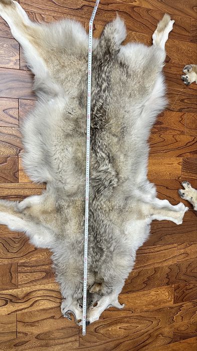 Мех волка каскыр териси волк