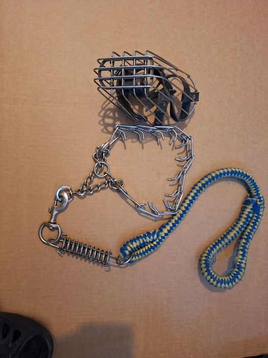 Botnita metalica si zgarda  caine talie mare