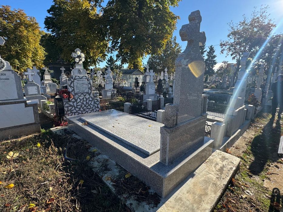 Loc de veci Viisoara