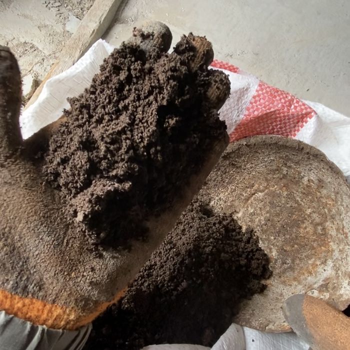 Биогумус удобрение