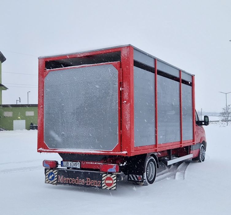 Mercedes sprinter 519 transport animale 518 516 iveco daily 35c17 35c1