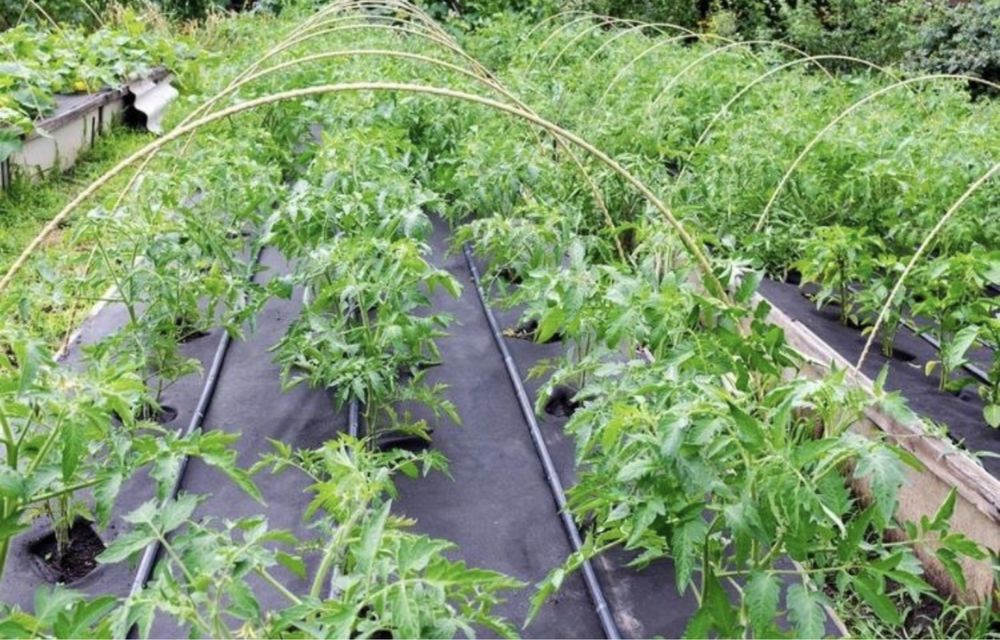 Спанбонд/агроволокно