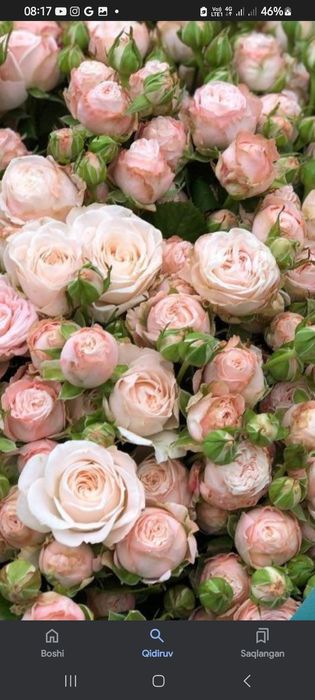 Атиргуларга 100 % гарантя