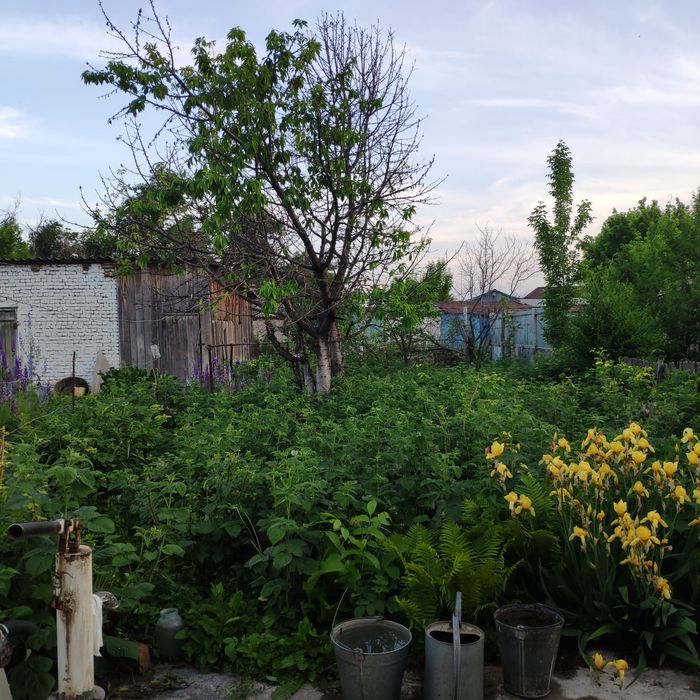 Продам дом в Пригородном