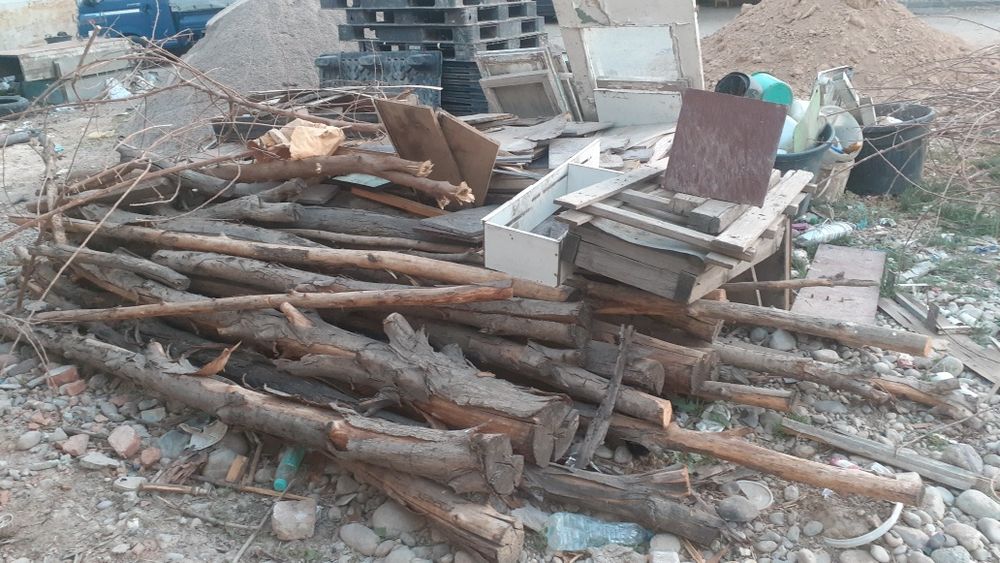 Отин бор кесилган