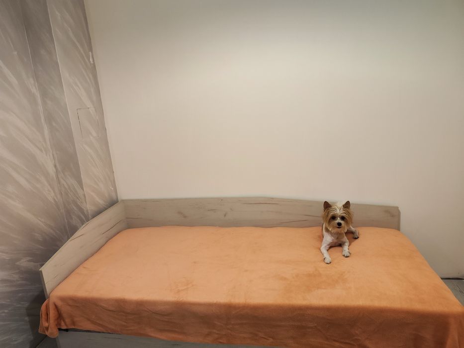 Дава се под наем Двустаен апартамент в Плевен, Дружба 1 - 55 кв.м за 433.5 € - Снимка #11