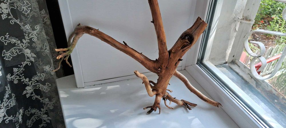 Коряги для аквариума