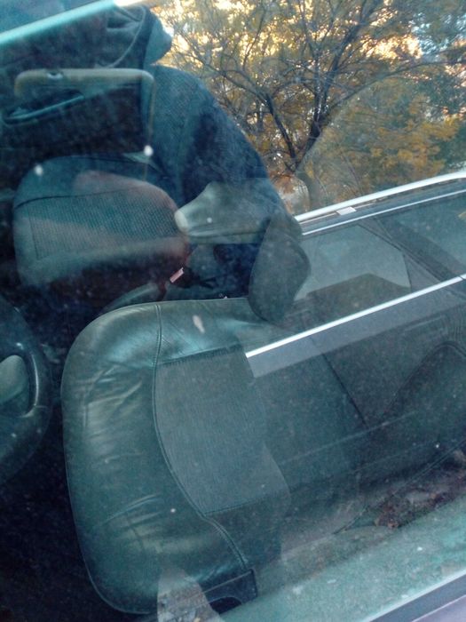 Рено меган сценик шамат бензин На части