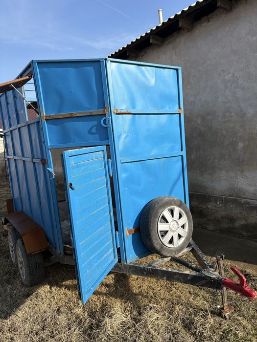 Ат барба сатылады