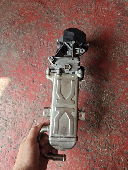 Egr golf 6 1.6 tdi