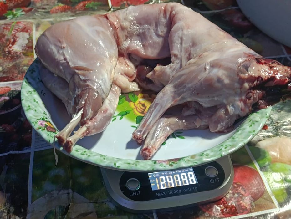 Мясо молодого кролика
