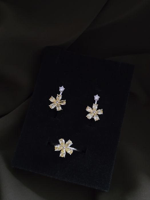 Серебряный комплект