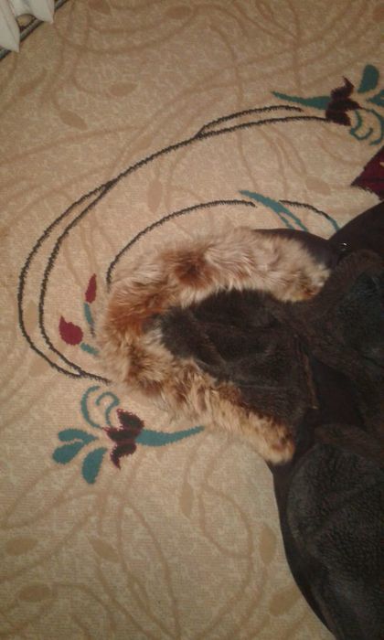 Продам дубленку теплая