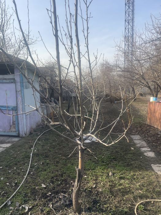 Продаем дом и 15 соток