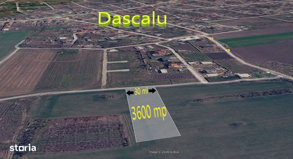 Teren Intravilan 3.600 mp | Dascalu, Ilfov