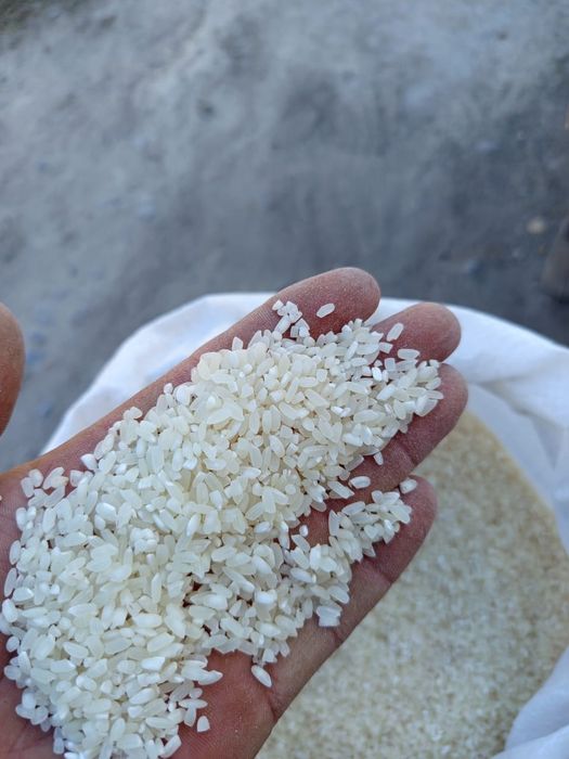 Рис лидер кызылорда