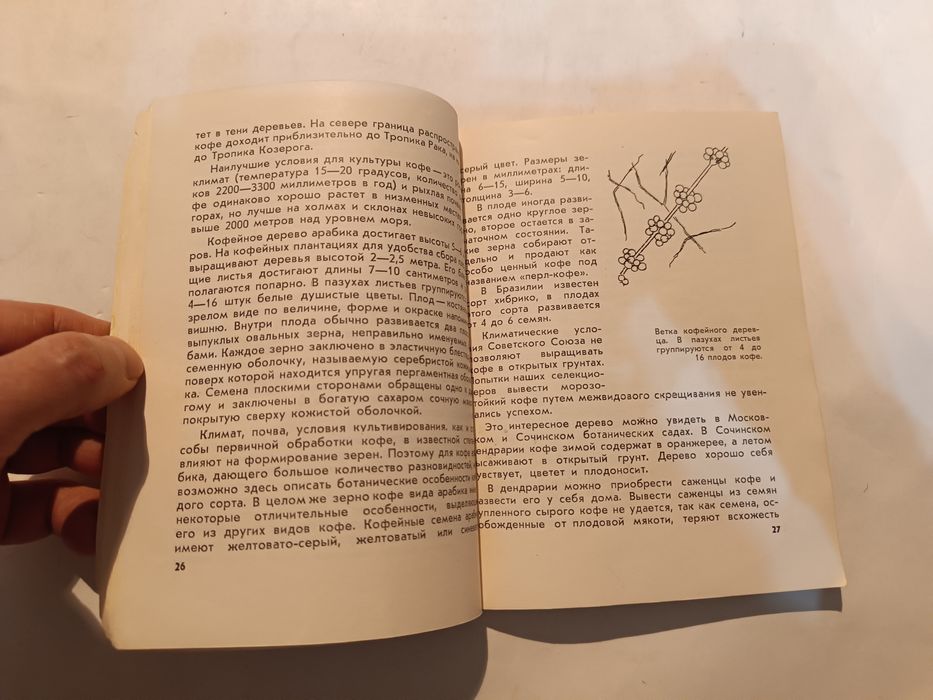 Чашка кофе описание