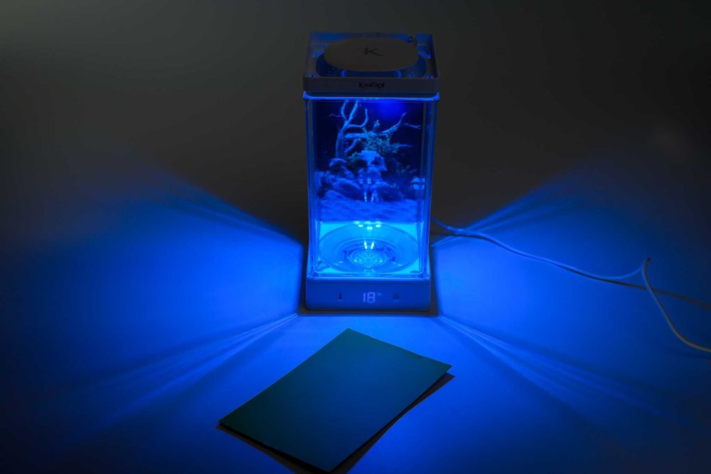 Mini Acvariu de birou Kodiak  special pentru pesti Beta