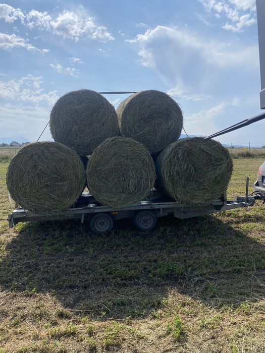 Baloti rotunzi lucerna coasa 2 si 3