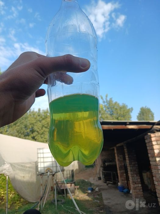 K5 Salarka bor oladigan mijozlarga