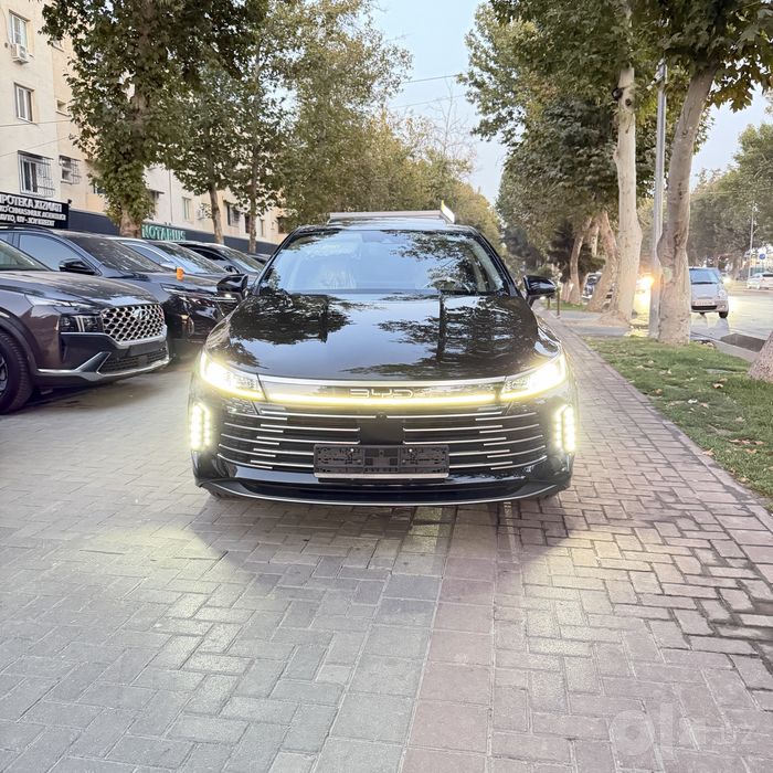 Byd Chazor Full 4-pozitsiya