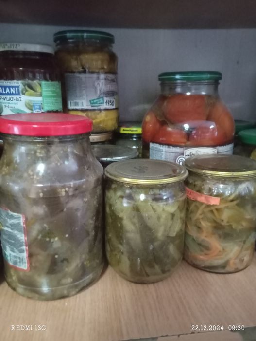 Засолка домашняя