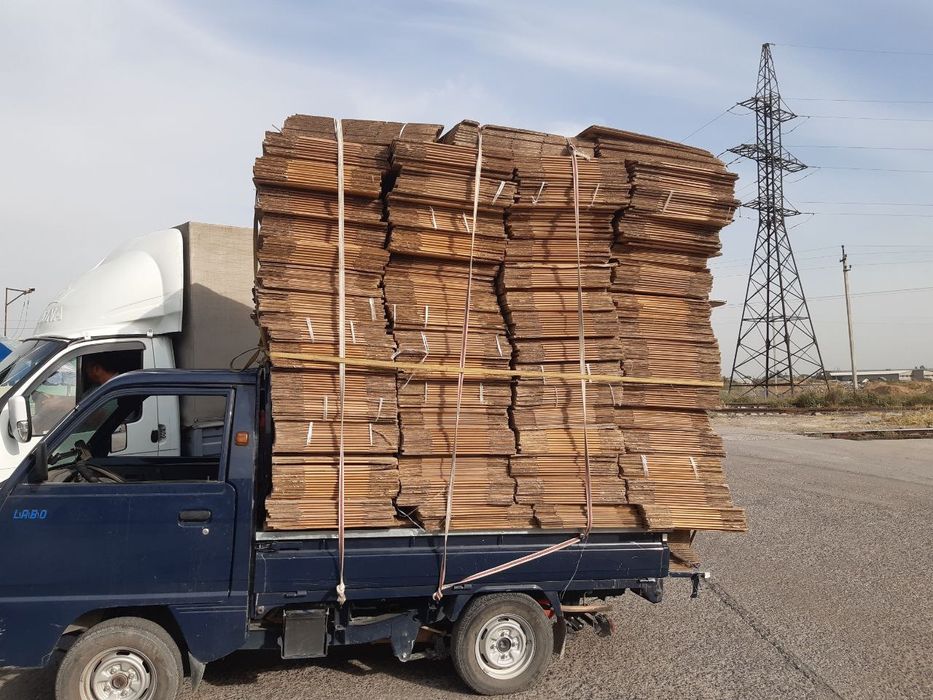 Pererabotka salafan maklatura