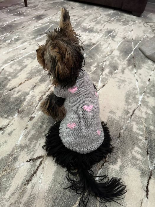 Вязаная одежда для кошек и собак