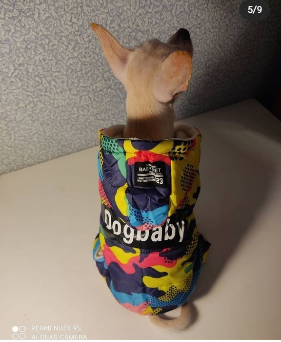 Костюм для собачки и кошечки