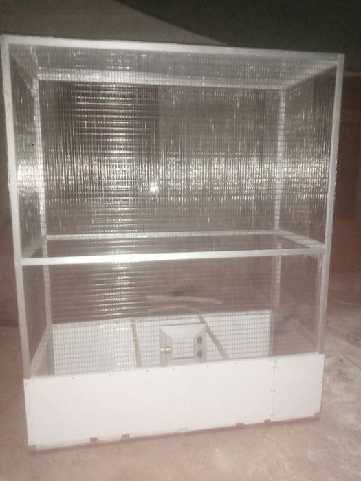 Кушлар учун валер холати зур