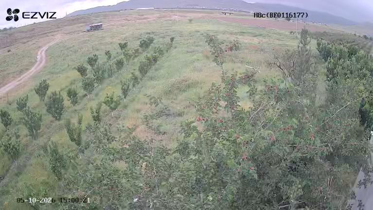 Гилос бог уй молхона свет сув хамма нарсаси бор