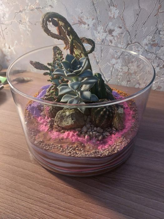 Продам флорариумы. Юго Восток