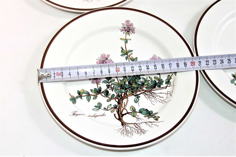 Set 10 Farfurii Botanica Villeroy & Boch pictate flori de cimbru, NOU