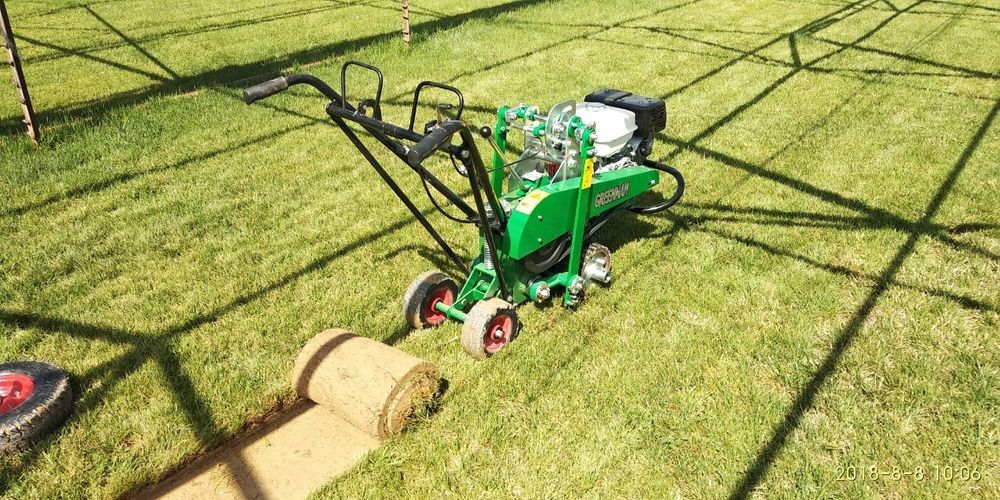 Tayyor rulonli gazon